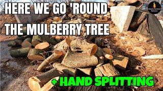 HERE WE GO ROUND THE MULBERRY TREE #FIREWOOD