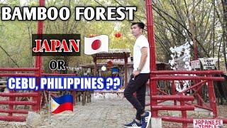 AMAZING BAMBOO FOREST || PARA KANG NASA JAPAN || GIL'S TRAVEL #03