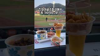 한화이글스파크 1등 맛집