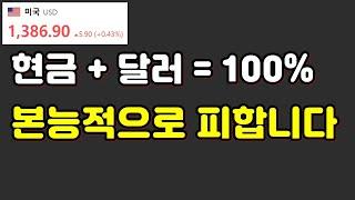 현금 + 달러 = 100%