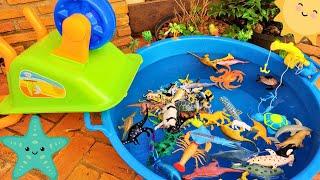 FISHING FOR TOY ANIMALS: DINOSAURS, SEA CREATURES, WILD ANIMALS, FARM ANIMALS, AND MORE!