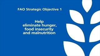 FAO Strategic Objective 1