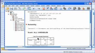 Cronbach's Alpha - SPSS (part 1)