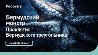 Бермудский монстр | Проклятие Бермудского треугольника | Discovery