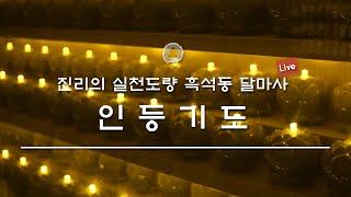 [진리의 실천도량 달마사]  1월  14일  인등기도