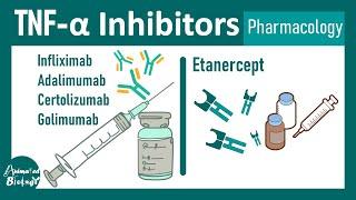 TNF alpha inhibitors | TNF alpha | cytokines