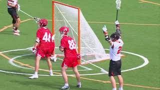 Princeton vs Cornell Lacrosse Highlights | 2024 College Lacrosse