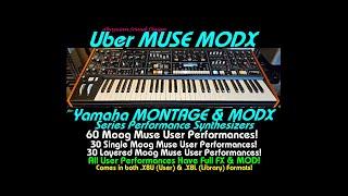 Uber Muse MODX Sample Pack Yamaha Montage Moog Analog Synthesizer