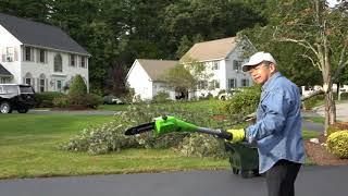 Cutting Down Tree Limbs with Cordless Pole Saw