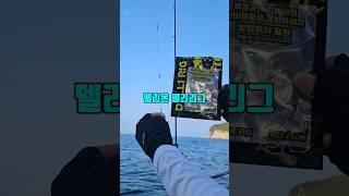 델리온 델리리그 2차물량 오픈 낚낚쇼핑몰에서 바로구매 가능합니다 #낚낚 #fishing #직결가지결합채비#유동채비#쭈꾸미낚시