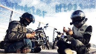 [Harley Roadster & mt03] 비버짱은 왜 새벽에 떠나는겨…??