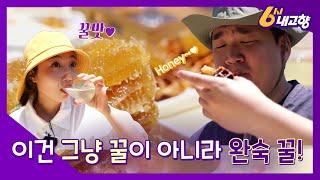 말로만 듣던 꿀맛! 자연이 준 선물 완숙 꿀｜230628 6시 내고향