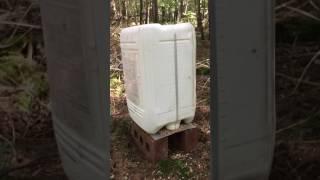 DIY Pheasant and partridge feeder