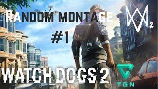 Watch Dogs 2 | Random moments montage #1