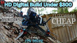 Build HD Digital 6s Freestyle FPV Drone Under $300