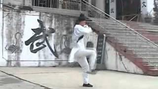 Wudang Kung Fu 伏虎拳 Wudang Fu Hu Quan.