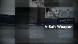 A-Salt Weapon a 1990 54' Paul Mann