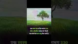 tree is our life#shorts#ytshorts#tranding#viral