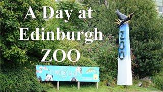 A Visit to Edinburgh Zoo, July 2020