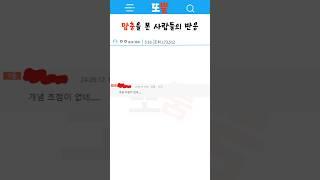 맘충을 본 사람들의 반응