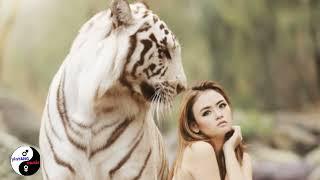 BEST sleep music / 45 #sleep videos & yin yang music / music for meditation / relaxing music