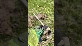Копаем на классном месте #коп2023 #камрад #топ
