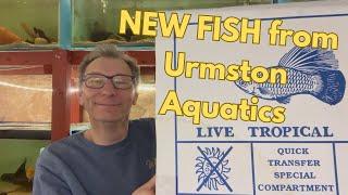 NEW FISH Unboxing