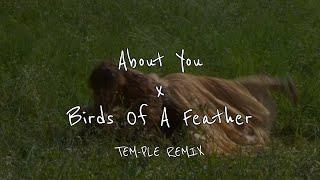 About You x Birds Of A Feather TEM-PLE REMIX