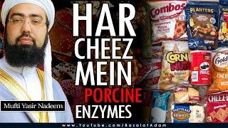 Har Cheez Mein Khinzeer (Suwar) | Porcine Enzymes in Every Food | Dr. Mufti Yasir Nadeem Alwajidi