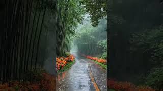 #viral#trending#reels# rain#song#bollywood#Rimjhim Gire Sawan#Kishore Kumar