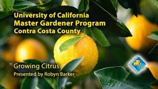 Growing Citrus - Webinar Edited for Brevity