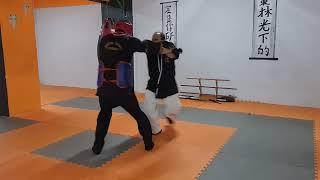 #budomethodaikijutsu #combataikijutsukai #aikijutsu #arakikenpo #profdr #combatbujutsu #keşfet#dövüş