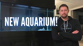 I Bought a New Large 90 Gallon Aquarium! The Expansion Continues…