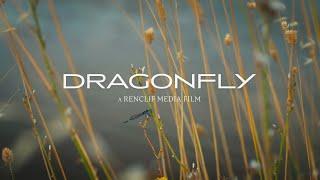 Dragonfly // BMPCC 6K Cinematic Short Film