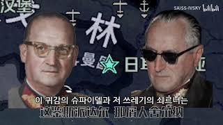 [HOI4/TNO] 슈페어 디스코