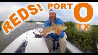 Redfish Fly Fishing in Port O Texas September 2020 - Observations