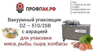 Вакуум упаковочная машина DZ 510 2SA для упаковки мяса рыбы сыра колбасы