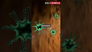 Virology & Immunology