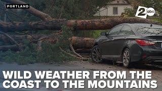 Wild weather from the Oregon coast to the Cascades as winds topple trees and close ski lifts