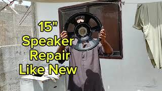 15 " Speaker Repair