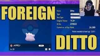 GET A FOREIGN DITTO IN POKEMON SCARLET AND VIOLET