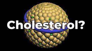 Cholesterol & Your Lipid Profile Labs. Part 1: The Biochemistry of Fats