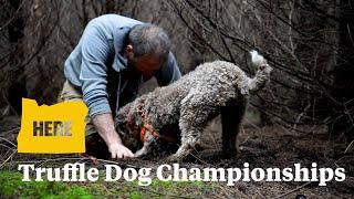 Dogs compete in Eugene to be the truffle hunting champ