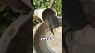 perangkap ikan yang sederhana #perangkapikan #bubu #viralvideo