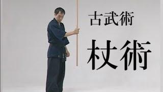 Japanese martial arts Ninja Cane techniques