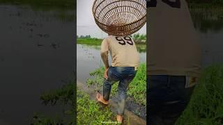 How To Polo Fishing Style ||(Part-16)#fishing #amazingfish #trending #shorts