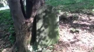 Old jewish cemetery in Bedzin