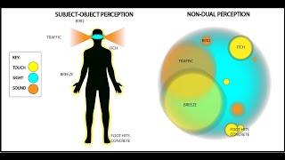 Dualism vs Non-Dualism Explained - with visuals