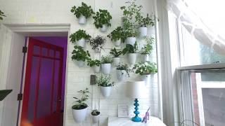 Best Indoor Wall Planters