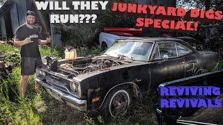 Reviving all of JUNKYARD DIGS revivals in ONLY ONE DAY! WILL THEY ALL RUN? Sally's Speed Shop Ep. 20